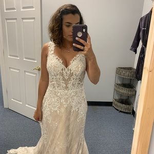 Meet your Posher, Taran